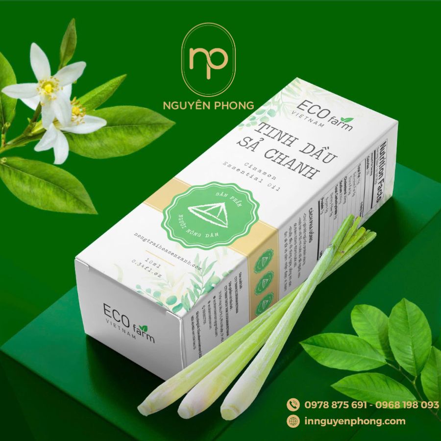 in-hop-giay-duplex-tai-ha-noi